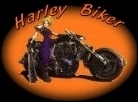 harleybiker.jpg (11524 Byte)